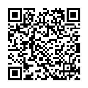 此刻虽然大部分的创世之力被他在刚刚那一击中消耗殆尽二维码生成