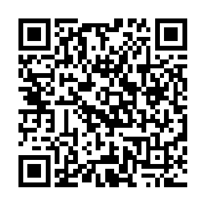 此刻还不知道在盘算些什么…………阿骨打老皇帝锐气不在二维码生成