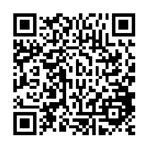 此刻这天妖皇所展现出来的力量几乎已经超出了他们抵抗的极限二维码生成