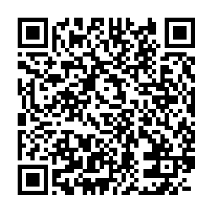 此刻阎海和家晓雅夫妻终于明白刘鹏先前所说的一栋房子是什么意思了二维码生成
