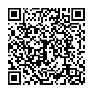 此刻顿时也不再犹豫纷纷掏出了自己手中的枪支一个个朝着苏凡指了过去二维码生成