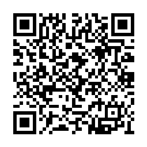 此前杨开在双子岛大发神威的一幕他也看在眼中二维码生成