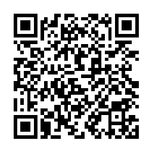 此时丁长生利用家里冰箱里仅有的一点蔬菜做了几个菜二维码生成
