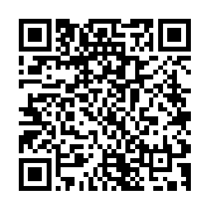 此时他们终于明白夏天这些天以来教他们的勇气是什么意思了二维码生成