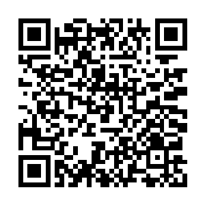 此时周公瑾尚且统率着近两万余兵马在南门伺机二维码生成