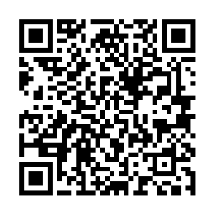 此时在星域宗的护宗大阵之外混沌兽的尸体堆积如山二维码生成