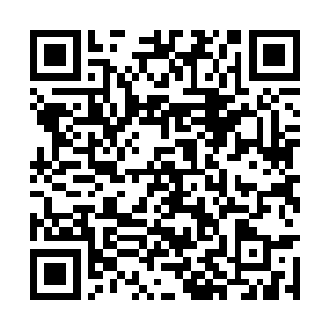 此时在杨戬的面前赫然是漂浮着九滴金黄色的血液二维码生成
