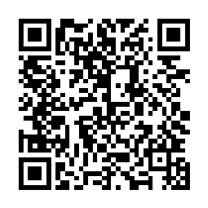 此时在第一座桥和第二座桥之间的悬崖上盘膝坐着很多修士二维码生成