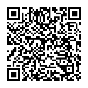 此时就连狼夜和龙府府主也也全都被夏天霸气的话所深深的震撼到了二维码生成