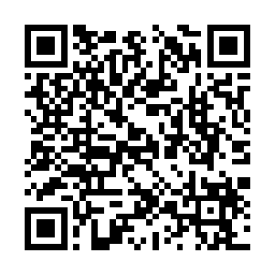 此时才看到货架上已经摆上了荣耀至死的首张专辑二维码生成