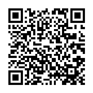 此时教皇再也保持不住淡定的态度顿时开始破口大骂起来二维码生成