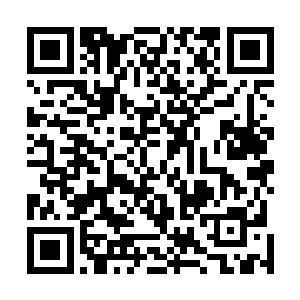 此时整个体育场内又瞬间响起无数人倒吸一口凉气的声音二维码生成