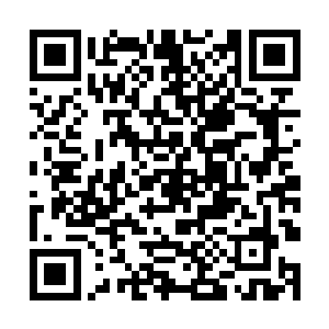此时的万法金胎可是已经达到了地品本源圣器的程度二维码生成