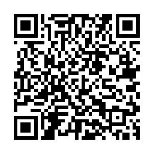 此时的九幽魔主的状态显然根本就不需要发动什么绝妙的招式二维码生成
