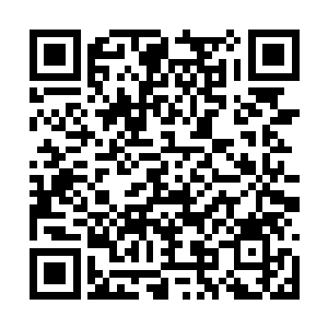 此时的公主最放在心上的还是最宠爱的侍郎金墨笙二维码生成