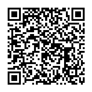 此时的刘飞一脸倦怠之色的出现在了一直在苦苦等候着他的凝冰美人面前二维码生成