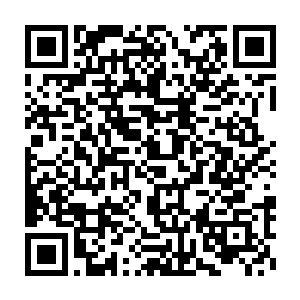 此时的天罗宗的众人还根本就不知道在他们眼前如天堑一般的禁制二维码生成