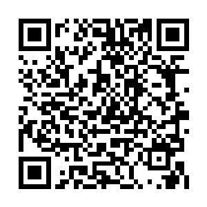 此时的武家和萧家的家主心中也是微微有些后悔二维码生成