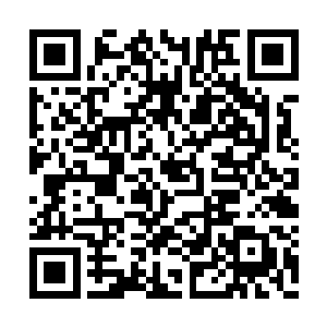 此时的王守冀正在做着与特工史密斯一样的神迹二维码生成