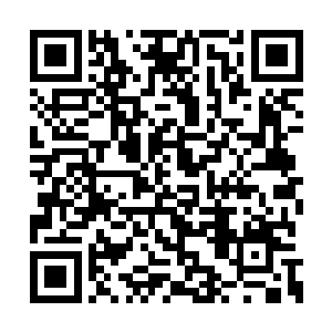 此时看着大殿中所有人僵硬却不得不服从的神色二维码生成