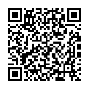 此时简玖儿的背部没有碾压到床榻的部分布满了尸斑二维码生成