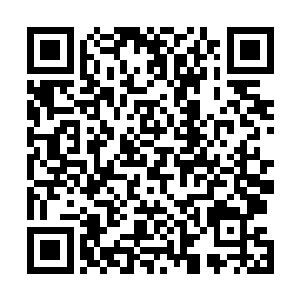 此时粘蝉城中被程矩整得服服帖帖的仆从军们最有发言权二维码生成