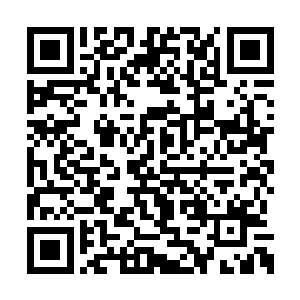 此时贝琳达它们已经和各自的对手纠缠在了一起二维码生成