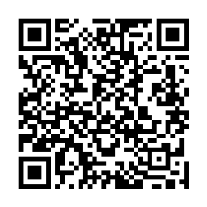 此时还残余二十多位弟子仍然一脸懵圈和惊恐的寻找出路二维码生成