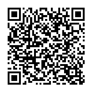 此时这个小丫头已经被震惊得重新一屁股跌回绝对不算舒适的金属座椅二维码生成