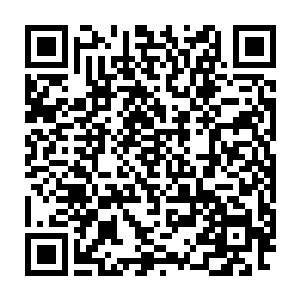 此时通过猎杀而得到的几个传奇俘虏已经知道了自己即将面对的命运二维码生成