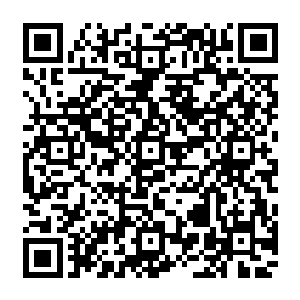 此时龙傲天吸收的速度直接提升到了最大的程度现在的龙傲天就仿佛一个巨大的无底洞一般二维码生成