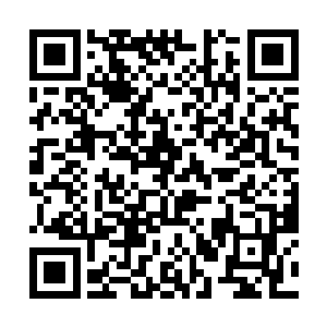 武包皮和小杨将昏迷着的傻妞给抬进了郭家庄园之内二维码生成