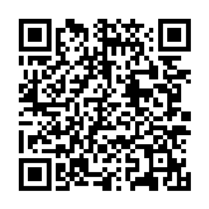 武天使机甲手里的战刀挥舞下去的速度也丝毫没有慢上半分二维码生成