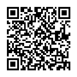 武藏小金井成功地用乐高积木制造了一台外表怪异的机甲二维码生成