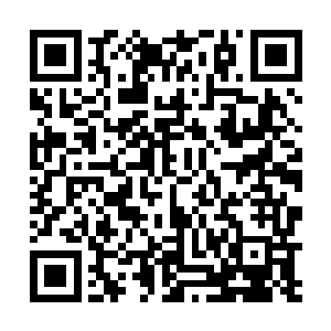 死了这么多战士取得的那点战果就像给对方挠痒痒一般二维码生成