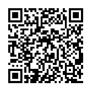 死后留下的小乾坤依然可以化作绞杀墨族的利器二维码生成