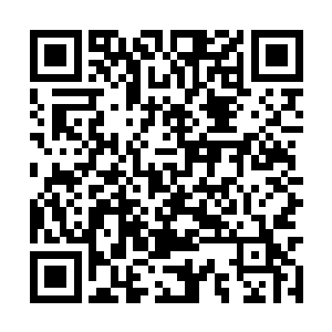 死在保护曾经对他们指手画脚口诛笔伐的政客路上二维码生成