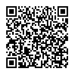 死死抓住我肩头的灵母那一双大眼睛下的小嘴巴里瞬间吐出一个个透明的泡泡二维码生成