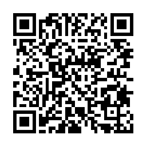 死神界对于恶鬼的手段无疑是无比的残酷和冷血二维码生成