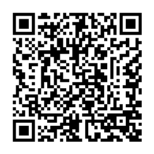 死者的全身骨骼会因为持续遭受各种毒素的不间断侵袭而全数变为赤红色二维码生成