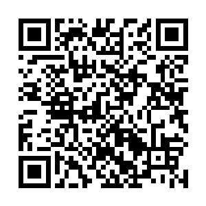 殊不知对医疗事故进行司法鉴定也是法医的工作范围呢二维码生成