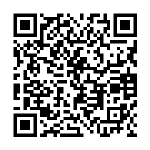 殊不知杨庆的精力如今已经由炼狱这边暂时转到了鬼市那边二维码生成