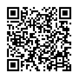 残存在神界中的机缘与造化几乎都被前人掏的干干净净二维码生成