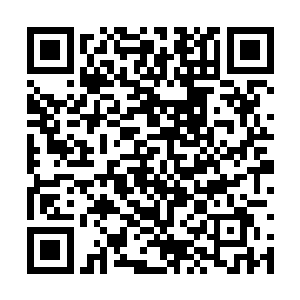 残留的墨族基本上都只是上位墨族和下位墨族而已二维码生成