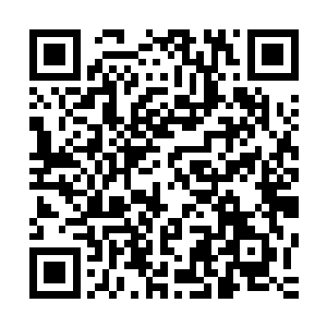 殿门外的世界和殿门内的世界俨然若两个截然不同的世界一样二维码生成