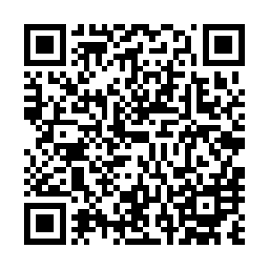 母亲从知道安安的存在开始就一口否认安安是他的亲生儿子二维码生成