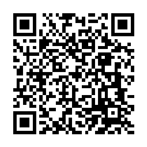 每一个人在他冷冰冰的声音里都耷拉着脑袋不敢抬起二维码生成
