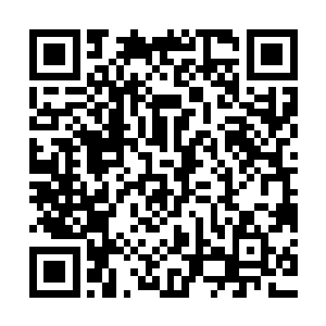 每一个修真者都毫不保留地将自己最强大的防御法宝给丢了出来二维码生成