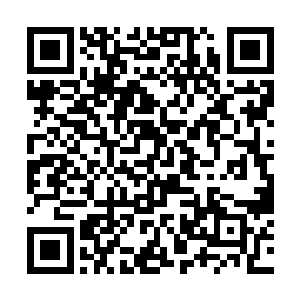 每一天都会有飞鸽传书回来传递消息……你且放宽心二维码生成