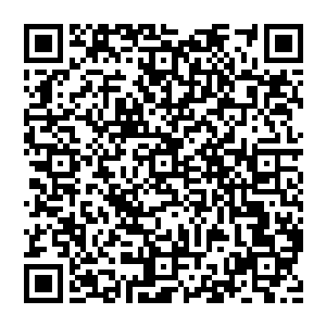 每一届黑风洞大典获得第一名的修士都拥有被把持本届黑风洞的天尊后期巅峰大修士单独指点一次的机会二维码生成